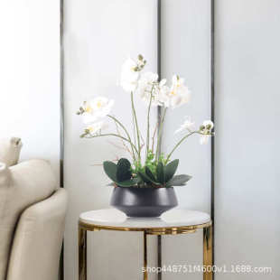 摆设 饰品别墅玄关软装 新中式 家居仿真蝴蝶兰摆件酒店样板房假花装