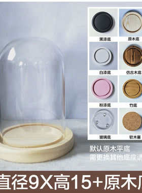 蝴蝶标本玻璃罩黄金饰品手办玻璃罩应援棒桌面木塞永生花密封罐