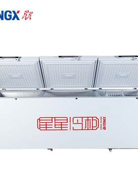星星（XINGX）商用大容量冷冻柜液晶温显商用大冷柜BD/BC-1388G