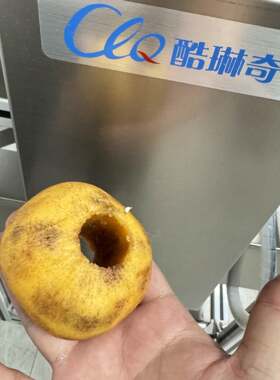 双工位大山西脆柿子削皮机 圆柿子苹果梨子猕猴桃削皮去核机