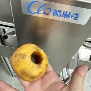 双工位大山西脆柿子削皮机圆柿子苹果梨子猕猴桃削皮去核机