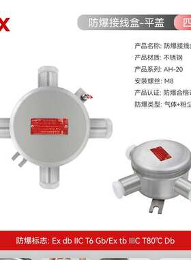防爆接线盒304不锈钢/隔爆接线盒平盖M25*1.5直通三通四通IIIC6分