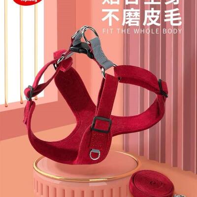 vest type dog traction rope small walking rope cat狗狗牵引绳