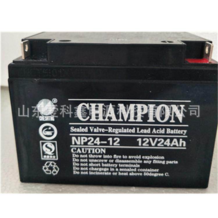 CHAMPION蓄电池NP24-12 12V24AH蓄电池铅酸免维护通讯UPS直流屏