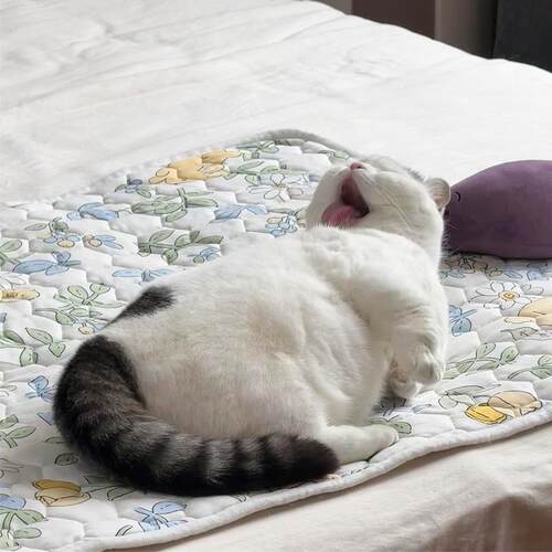 猫咪睡觉垫子夏季凉席猫床宠物猫窝垫子狗狗四季通用地垫2025新款