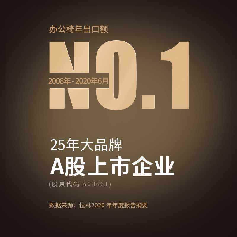 恒林水母电脑椅家用学习椅书桌椅转椅靠背人体工学椅办公座椅