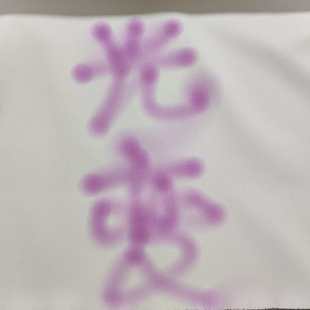 感温变色布 感光变色布 白变梅 全棉12安加密帆布 夜光变色布