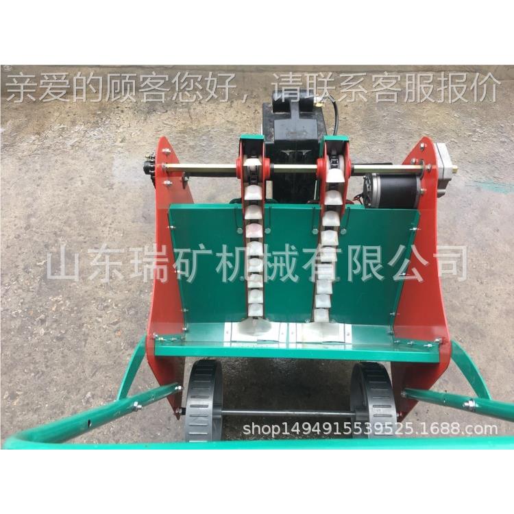 行12行3行人力电RK85466动大种蒜种植机种大蒜机大蒜种子播机