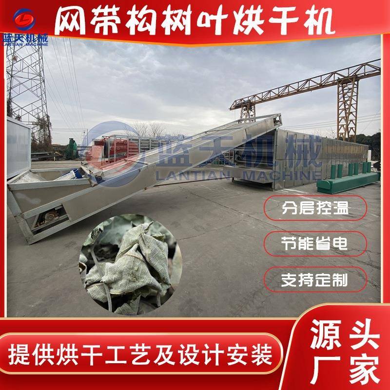 网带式构树叶烘干机大型全自动构桃树构干燥机楮树楮实子烘干机