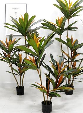 北欧网红仿真植物红铁树龙血铁室内仿真植物美洲龙舌兰绿植摆件