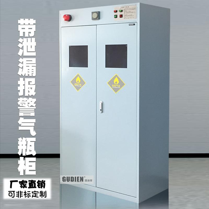 全钢双瓶气瓶柜钢瓶柜防泄露气体柜氮气氧氢气乙炔储存柜带报警器