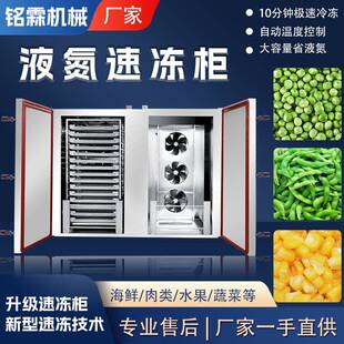 超低温液氮速冻榴莲海参大虾速冻柜多功能面团饺子包子速冻设备