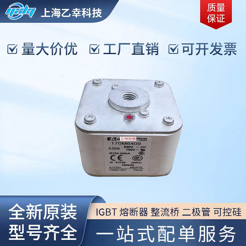 巴斯曼熔断器 170M6408 170M6409 170M6410 170M6411 170M6412