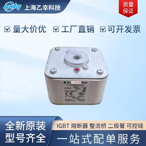 巴斯曼熔断器 170M6408 170M6409 170M6410 170M6411 170M6412