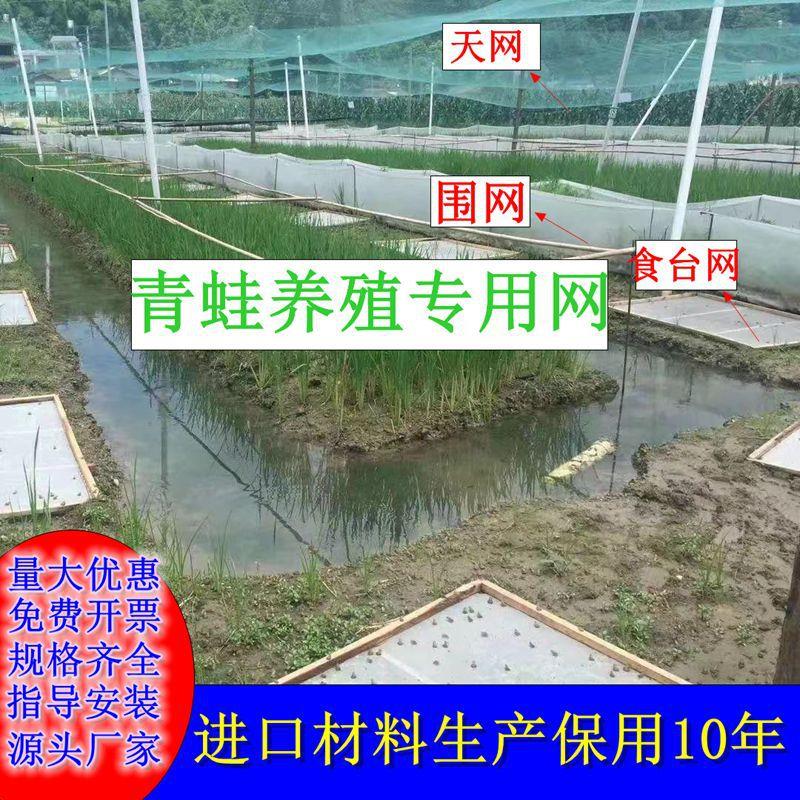 加厚青蛙围网专用养殖防逃网池塘林蛙围网鱼塘食台网布牛蛙围网