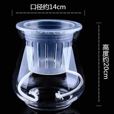 简约透明创意玻璃水培花瓶花边齿口款观音竹绿萝养植物花盆小鱼缸