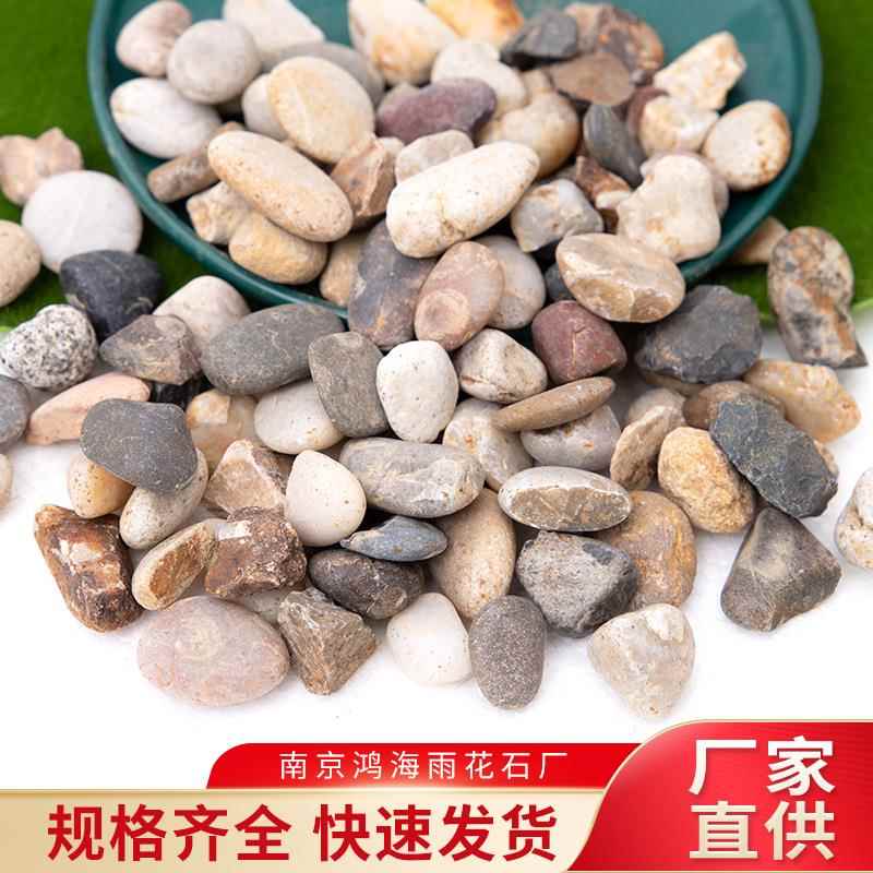 水处理用滤鹅卵石地暖专豆石小地暖豆石水洗石子料家装建材铺路石
