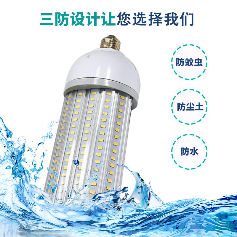 LED高亮节能压铸铝防水贴片 30W48w100W180°半面玉米灯庭院路灯