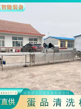 诸城鸡蛋鸭蛋清洗机排保洁蛋清洗设备鸡蛋清洗光检喷码一体机