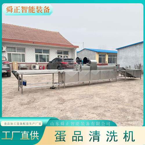诸城鸡蛋鸭蛋清洗机排保洁蛋清洗设备鸡蛋清洗光检喷码一体机