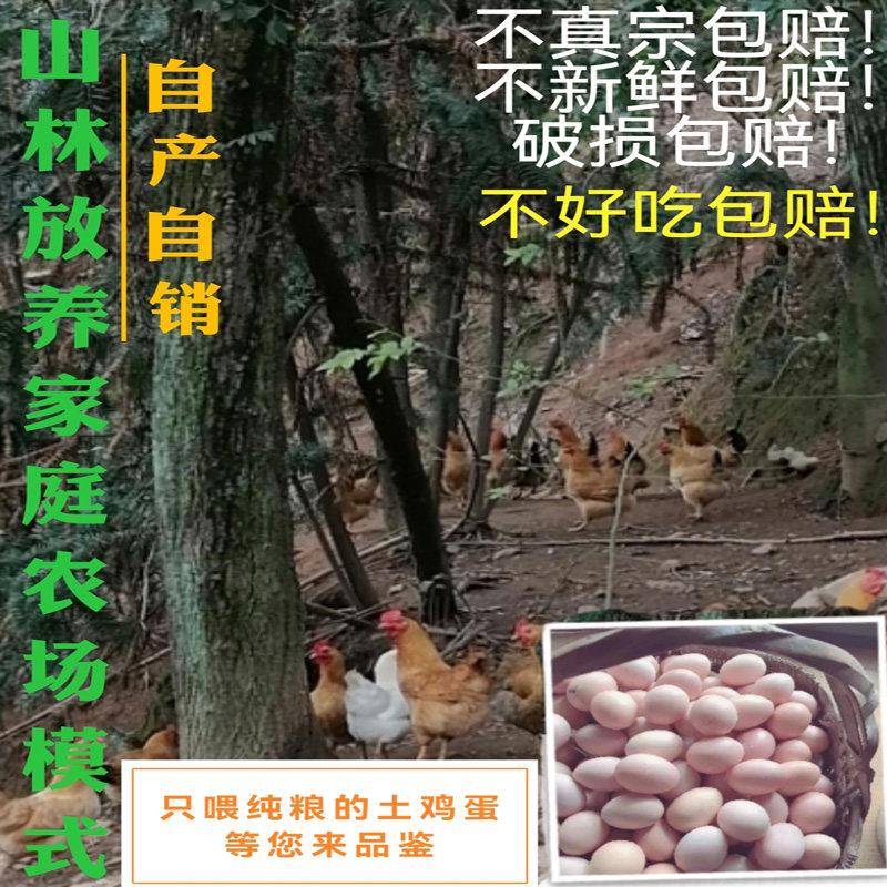 正宗土鸡蛋农家散养林下散养纯粮土鸡蛋笨鸡蛋柴鸡蛋草鸡蛋30枚