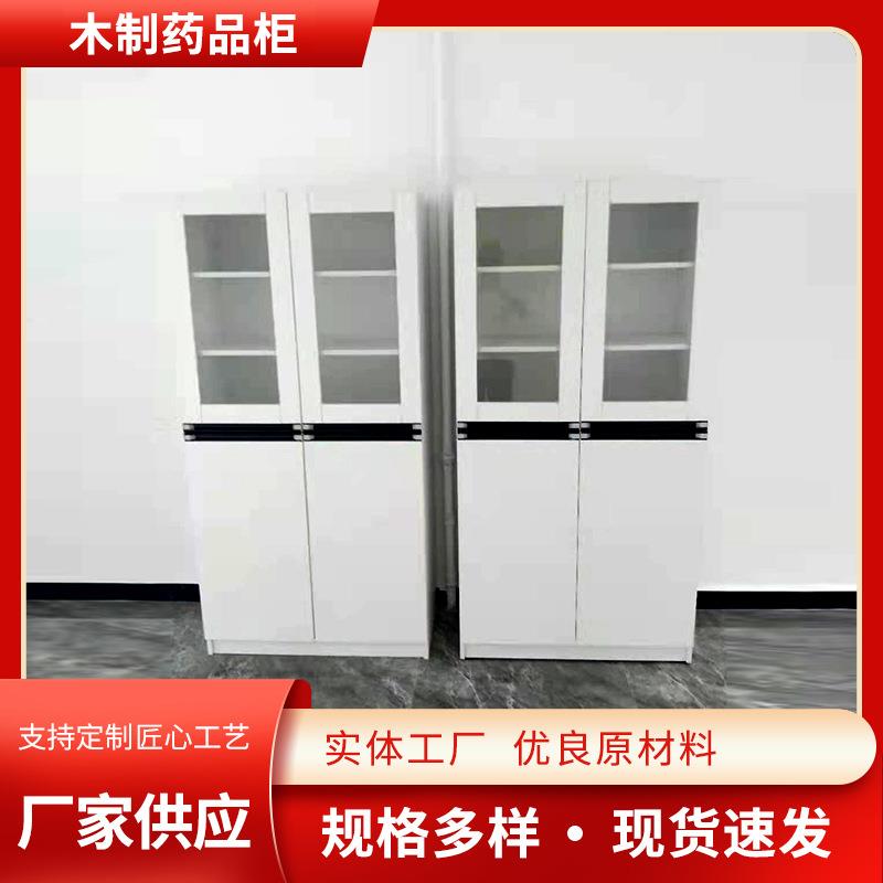 PP西药药品柜 药物试剂文件储存柜 实验室化学品器皿试剂柜厂家