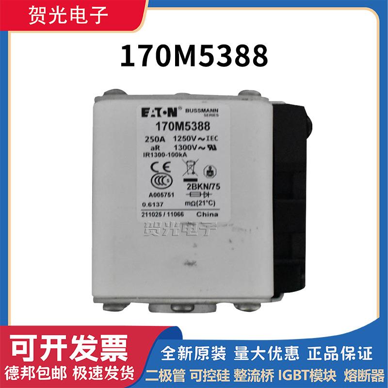 巴斯曼低压熔断器 170M4410 170M5388 170M5447先拍现货 原装进口