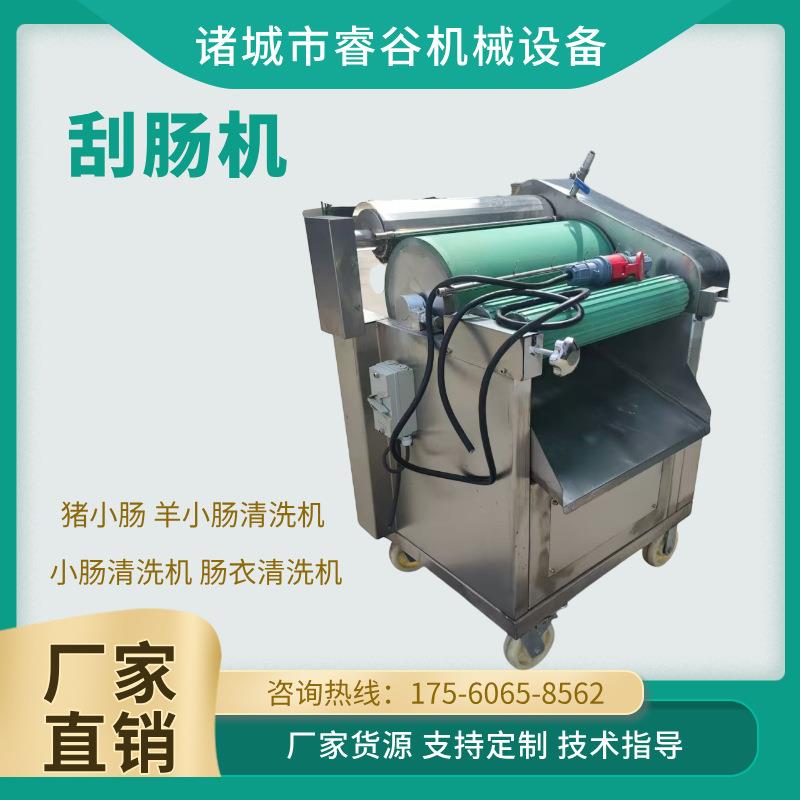 刮肠机 猪小肠羊小肠清洗机 304不锈钢小肠清洗机肠衣清洗机