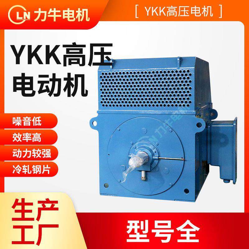 Y系列6级355W-6V-10V高压鼠笼转子三相异步电动机封闭式电机
