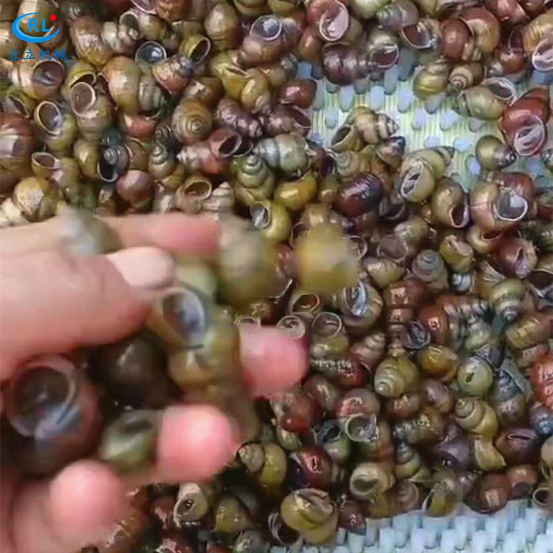 商用花螺清洗机辊刷式扇贝贻贝去泥沙设备全自动石螺清洗机