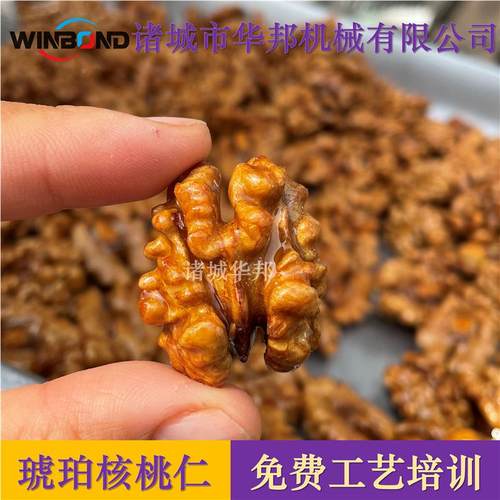 全XQO琥珀核桃仁炒锅 琥珀核仁加设备 自动桃工行星炒锅