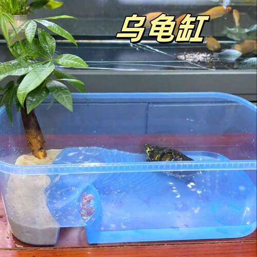 乌龟缸家用养乌龟专用缸大号爬梯水陆两栖生态缸干湿分离造景龟盆