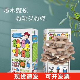 儿童创意生日礼物品送朋友全大班，同学伴手礼分享幼儿园小学生奖励