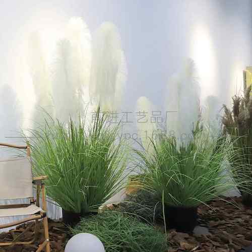 橱内窗装饰真植物瀑GL-61041布芦苇盆绿栽室落地假绿植森系仿真仿