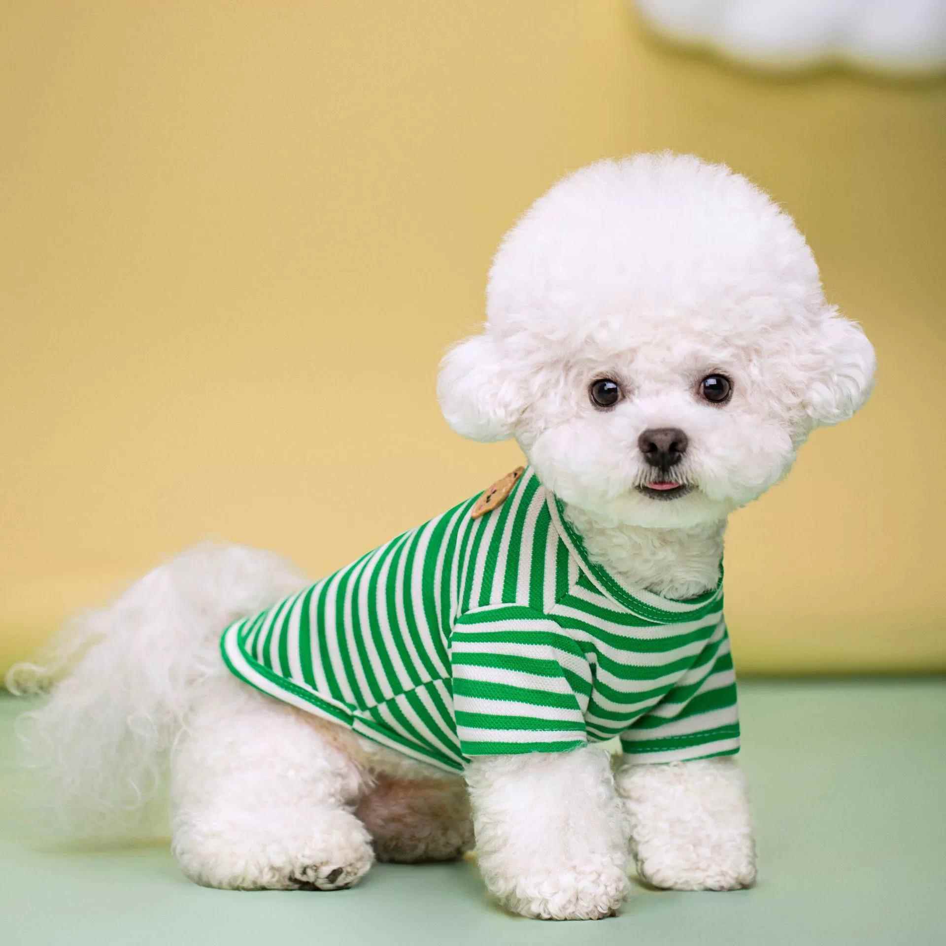 夏季新款狗狗衣服透气T恤宠物服装中小型犬狗狗猫咪衣服