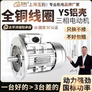 1.1 YS铝壳电机0.37 0.55 0.75 2.2KW三相异步马达380V全铜 1.5