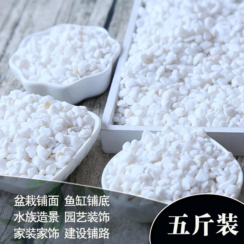 白石子鹅卵石原石天然多肉盆栽铺面园艺造景花盆白色小石头庭院