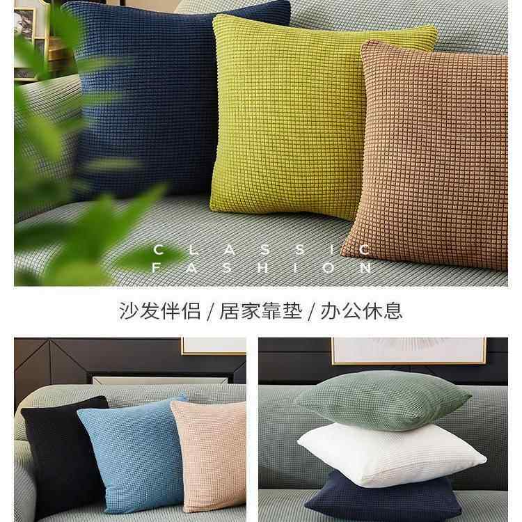 Throw pillow sofa back cushion cover velvet Pillow case靠垫图片