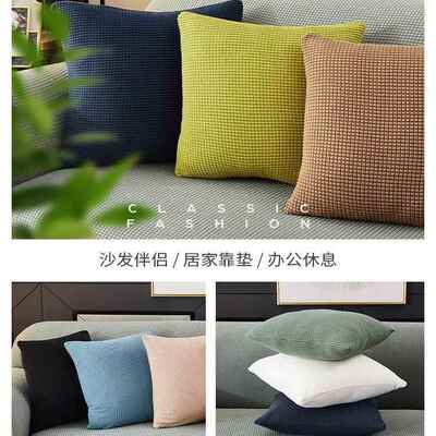 Throw pillow sofa back cushion cover velvet Pillow case靠垫