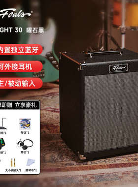 Foals贝司音箱FK30电贝斯练习演出音响内置蓝牙伴奏输入30瓦