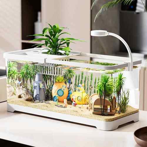 鱼缸过滤器客厅桌面微景观造景水族箱家用水培乌龟缸塑料透明鱼缸