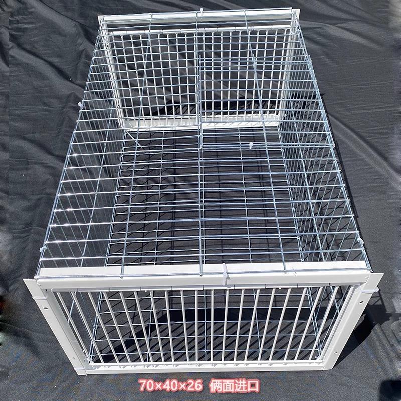 鸽子笼自动门屋顶鸽子活络鸟窝