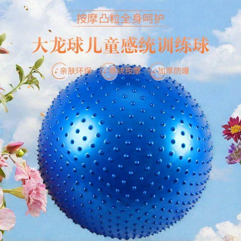 感统训练器材家用颗粒大龙球儿童触觉按摩前庭失调平衡早教玩具球