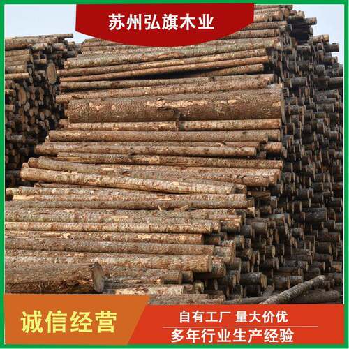 杉木桩园林杉木圆木杆绿化树木支撑家具原木材河道打桩木