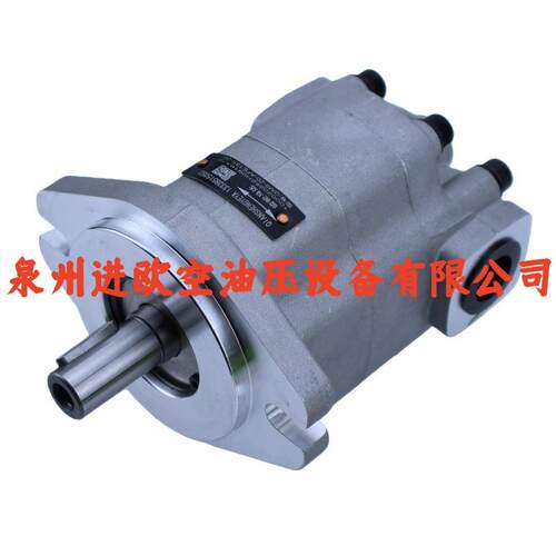 GM5-20-AFE13S-20液压泵GM5系列单向定量泵 齿轮油泵替代A10VSO