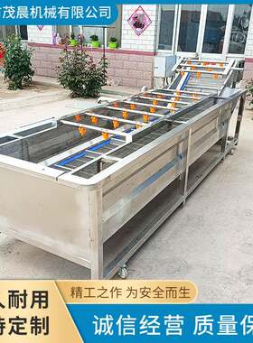 酸豆角预加工设备黄瓜气泡清洗机芥菜水流喷淋翻浪冲洗机械