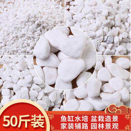 50斤装白色石子石头大鹅卵石庭院铺路铺地小白石头枯山水小白石子