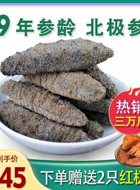 野生海参加拿大北极参干货500g进口深海参非养殖淡干北极海渗包邮