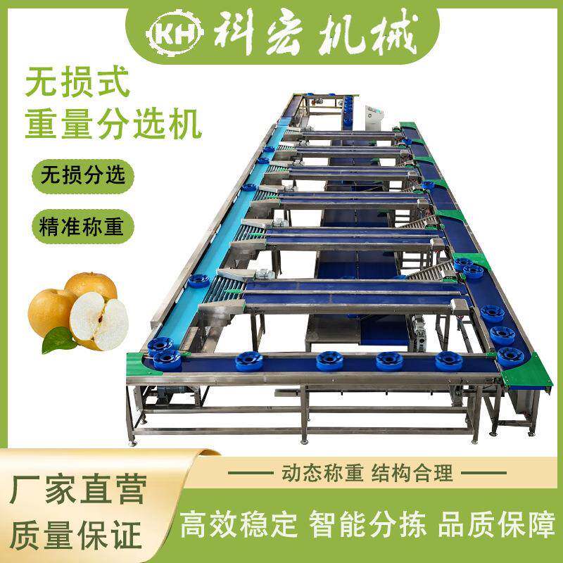 科宏机械无损式重量分选机菠萝水蜜桃秋月梨智能分选重量分拣
