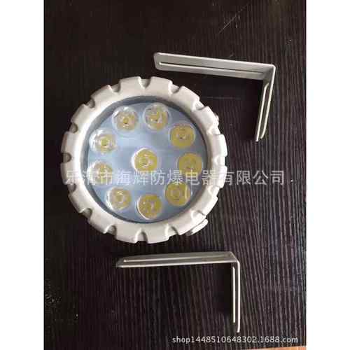 BAK51-20 系列隔爆型防爆视孔灯(IIC)